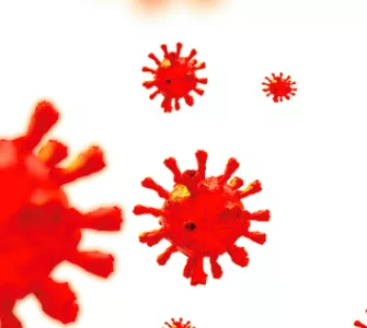 Virus rouge Covid 19