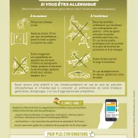 image - Infographie « saisons polliniques – les gestes à adopter si vous êtes allergique » - Ministère des solidarités et de la santé