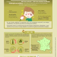 Infographie « les pollens - quels sont les effets sur la santé ?»