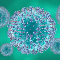 Virus respiratoire